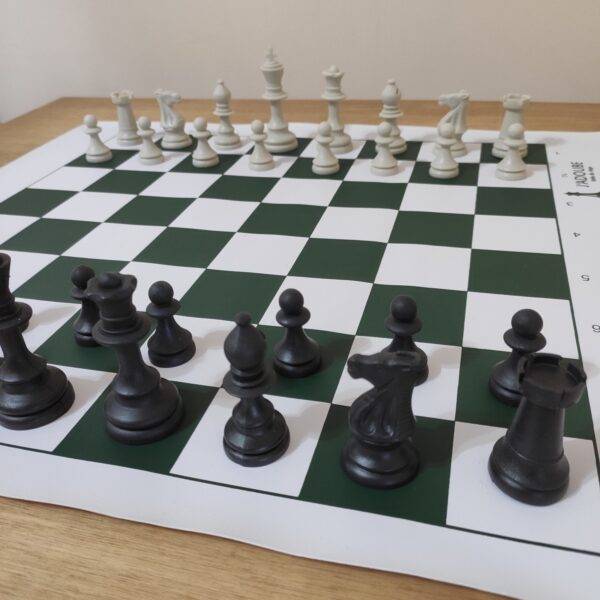 jogo de peças xadrez escolar
